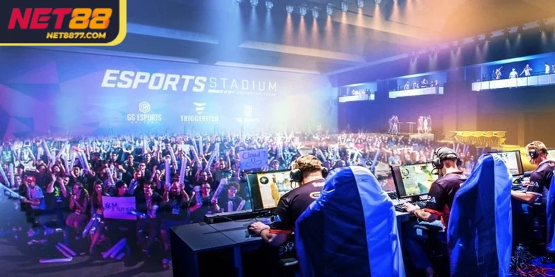 Trang cá cược Esport uy tín quy tụ những sản phẩm game độc đáo